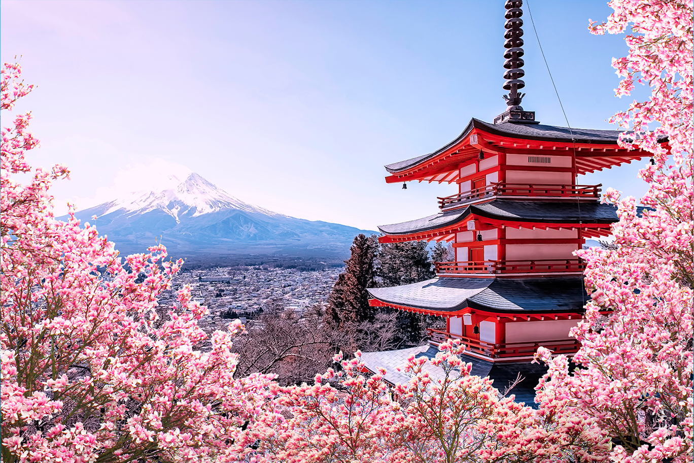 website retangular-WMWJAPAN27